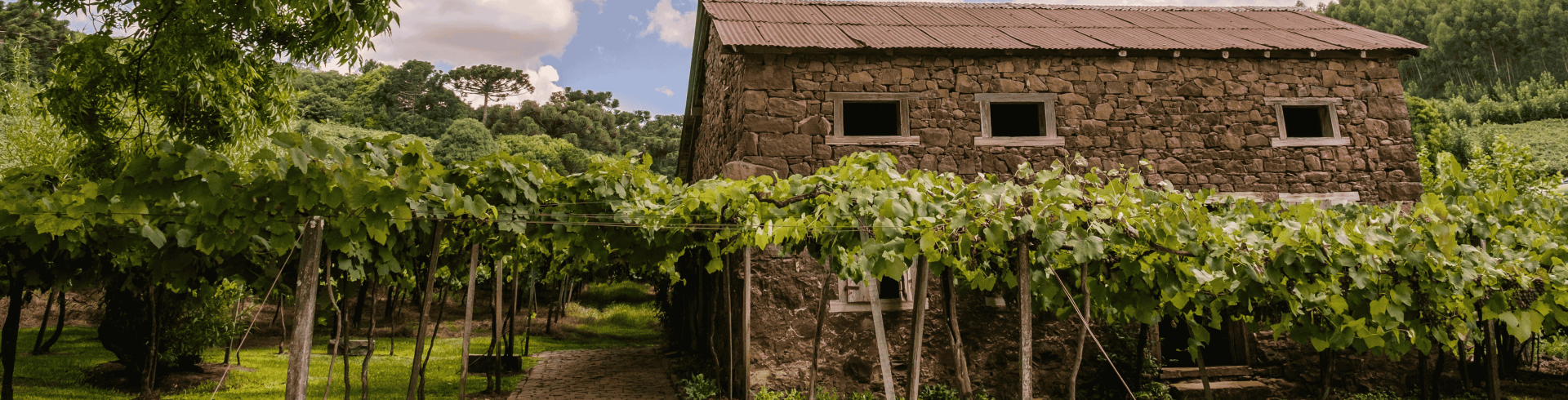 Bento Gon�alves - Caminhos do Vale